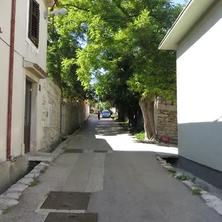 Apartment Goga